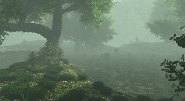 istock Foggy misty forest haze landscape 3d illustration 1349967908