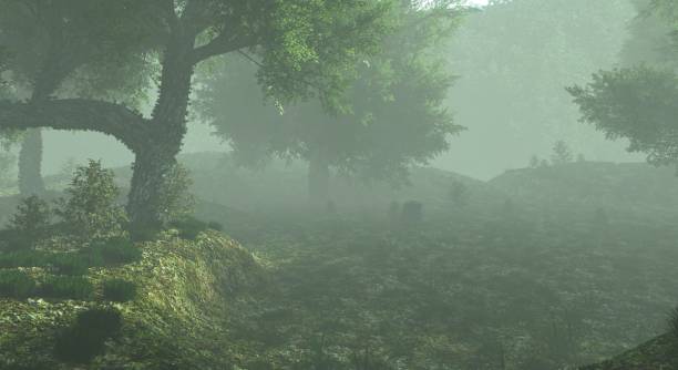 istock Foggy misty forest haze landscape 3d illustration 1349967912