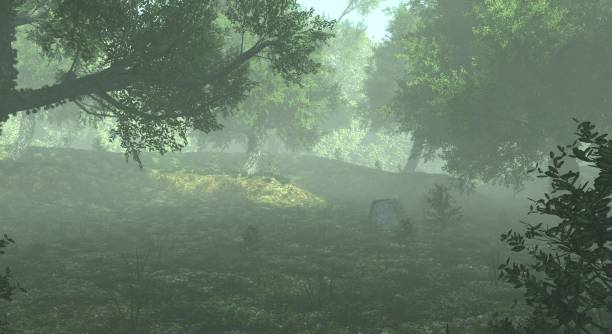 istock Foggy misty forest haze landscape 3d illustration 1349968027