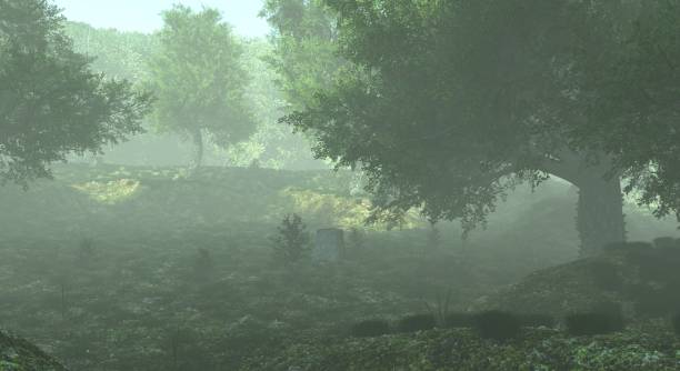 istock Foggy misty forest haze landscape 3d illustration 1349968105