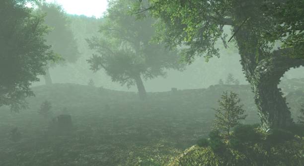 istock Foggy misty forest haze landscape 3d illustration 1349968282