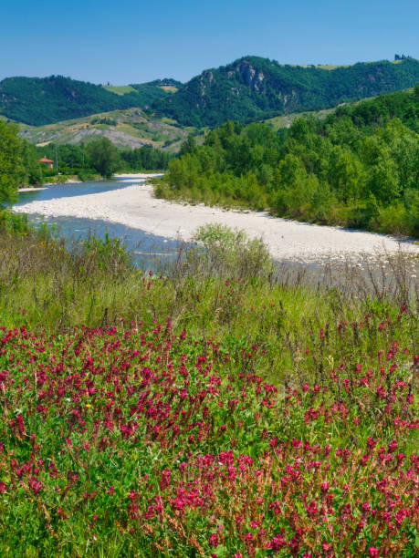 istock Rural landscape near Pavullo nel Frignano, Emilia-Romagna. 1349969649