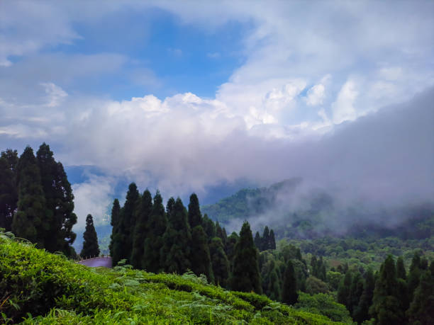 istock green mountain valley with blue sky and heavy cloud at morning 1349974072