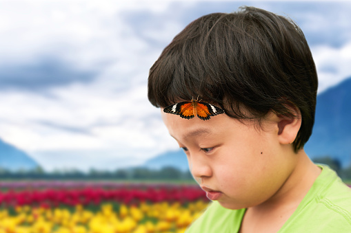 A butterfly perched on the boy's head.