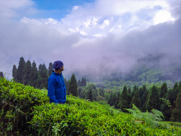 young man at tea garden with mountain background and bright sky at morning image is taken at darjeeling west bengal india.
