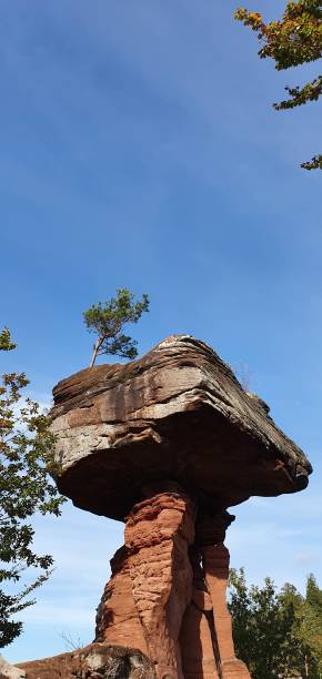 istock Sandstone formation Devil's Table in the Palatinate Forest in beautiful autumn weather with blue sky 1349975659