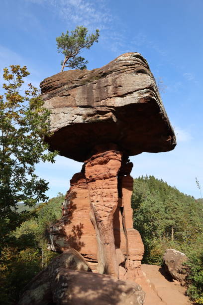 istock Sandstone formation Devil's Table in the Palatinate Forest in beautiful autumn weather with blue sky 1349975664