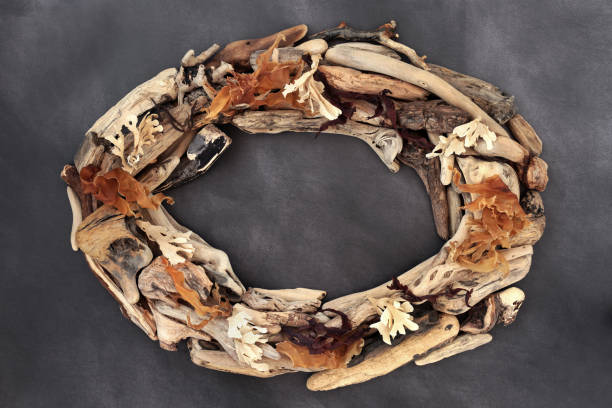 istock Driftwood and Seaweed Natural Oval Border Frame 1349977456