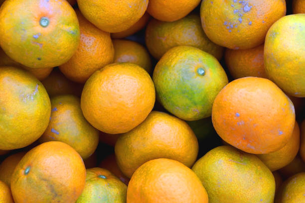 istock Crate of Tangerines 1349977460