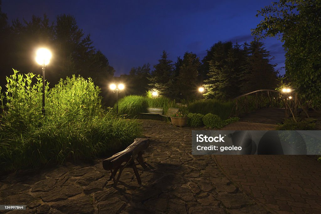 Garden Garden at Night Beauty In Nature Stock Photo