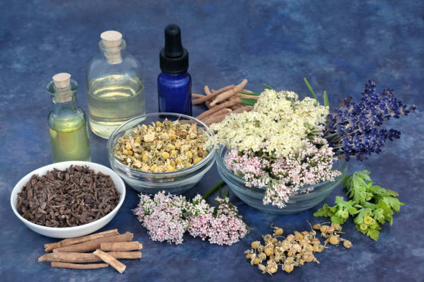 boticario natural hierbas medicinales - mortar and pestle lavender chamomile herb fotografías e imágenes de stock