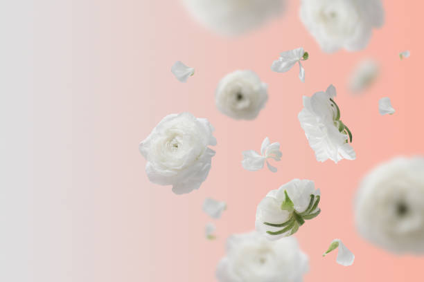 istock Flowers flying on pastel blue background 1349980287