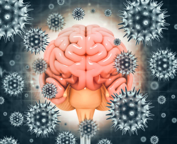 istock Virus or bacteria infected human brain.3d illustration 1349982992