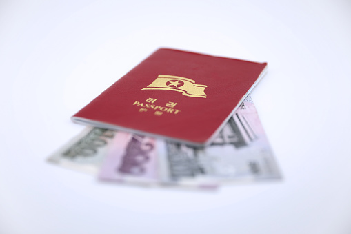North Korea tourist passport