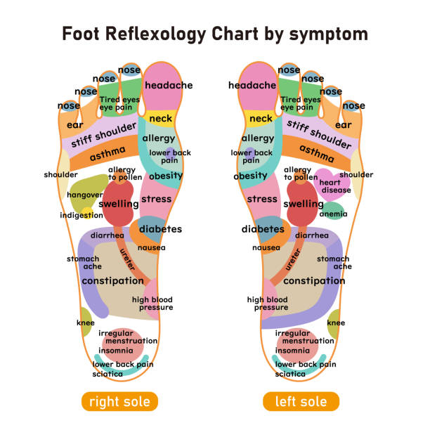症状に応じた足裏の反射領域と指差し図 - acupoints点のイラスト素材／クリップアート素材／マンガ素材／アイコン素材