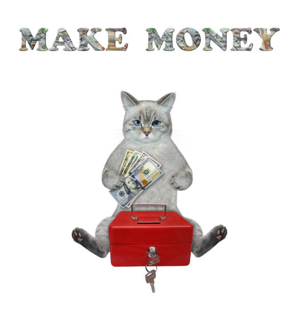 istock Cat ashen puts dollars in portable safe 1349989697