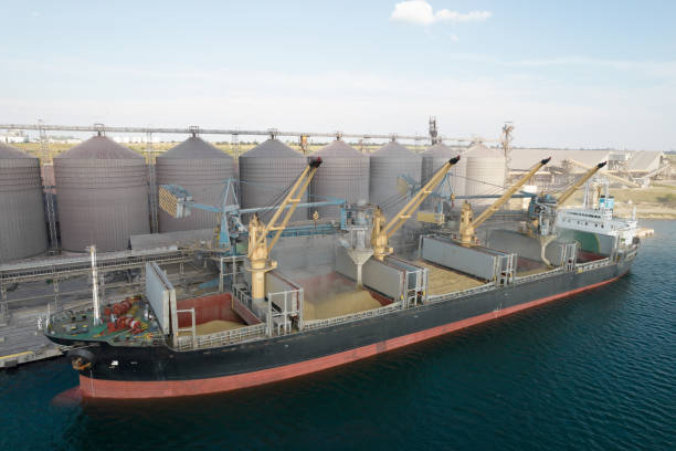 istock Loading grain into holds of sea cargo vessel through an automatic line in seaport from silos of grain storage. Bunkering of dry cargo ship with grain 1350000179