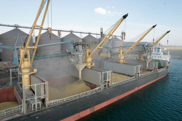 istock Loading grain into holds of sea cargo vessel through an automatic line in seaport from silos of grain storage. Bunkering of dry cargo ship with grain 1350000193