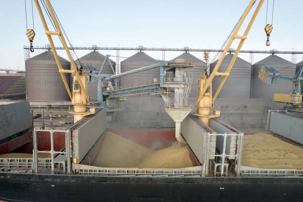 Carga de grano en bodegas de buques de carga marítima a través de una línea automática en el puerto marítimo desde silos de almacenamiento de granos. Bunkering de buque de carga seca con grano - foto de stock