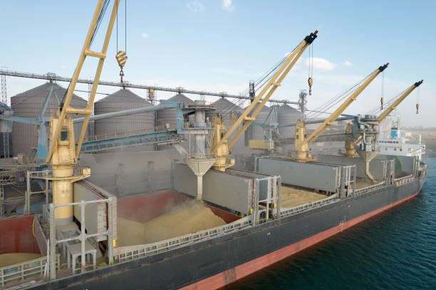 istock Loading grain into holds of sea cargo vessel through an automatic line in seaport from silos of grain storage. Bunkering of dry cargo ship with grain 1350000198