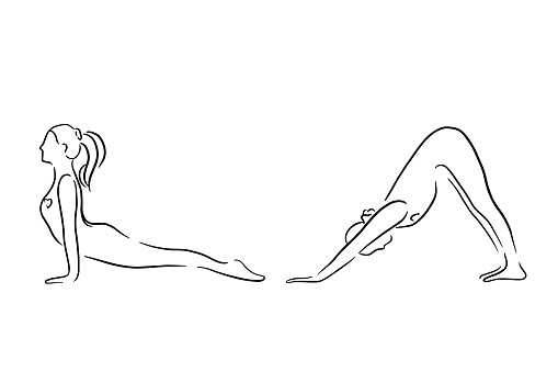 Stylized human in yoga dog pose, urdhva mukha svanasana and adho mukha svanasana . Handdrawn Vector illustration of lineart style. Yoga pose flat line icon, simple sign of woman in easy pose.