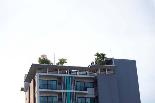 Tropical trees on rooftop of modern condominium in Bangkok Chatuchak