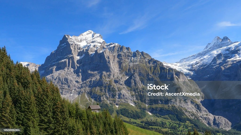 Scenic view of the European Alps in summer Forest and meadow below mountain range Day Stock Photo