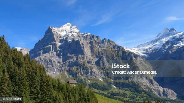 Scenic View Of The European Alps In Summer Stock Photo - Download Image Now - Day, Grindelwald, European Alps