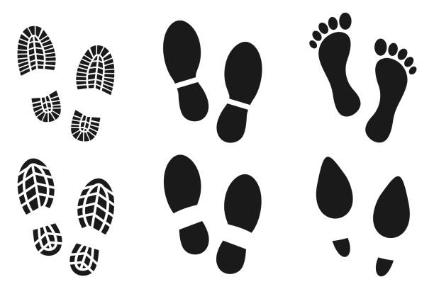 kolekcja ludzkie chodzenie ślady stóp buty i podeszwa butów śmieszne stopy kroki łapy ludzi. wektorowa ikona kroków lub znak do druku, izolowany na białym tle - obuwie wizytowe stock illustrations
