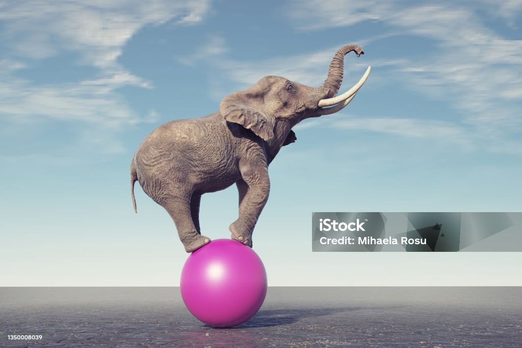 Elephant on a sphere. Happiness concept. Elephant on a sphere. Happiness concept. This is a 3d render illustration Elephant Stock Photo