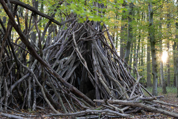 istock Old destroyed wooden shelter in a deciduous forest in Germany 1350010180