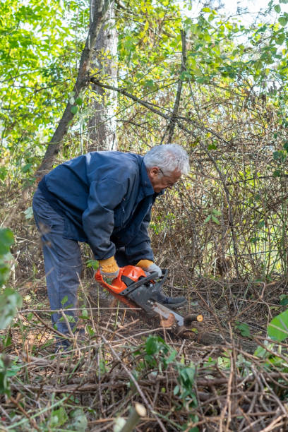 istock Senior man clearing his a backyard 1350013869