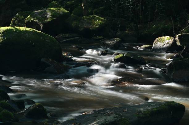 istock Long exposure view of a rushing stream 1350016790