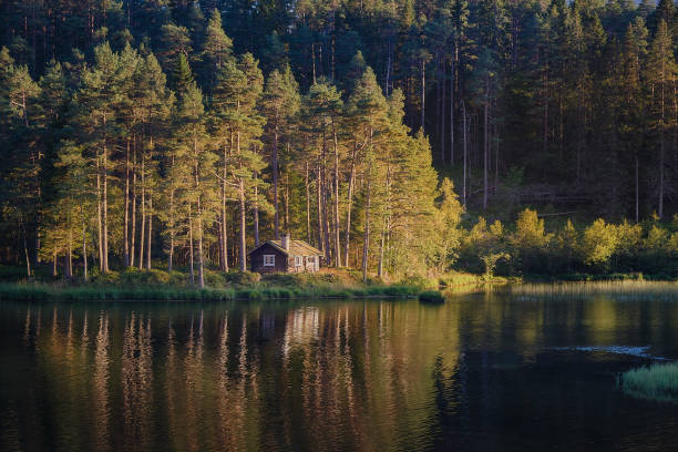 istock Lone cabin on a lake, Norway 1350016913