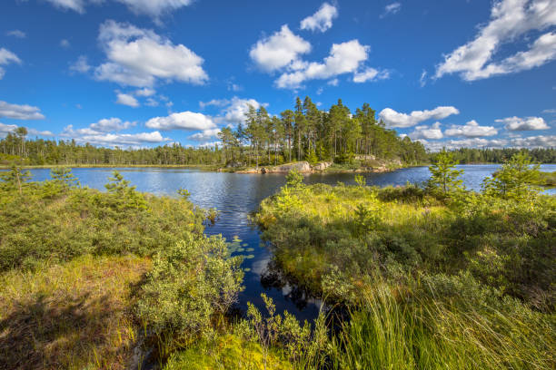 istock Lake in Glaskogen Sweden 1350018605