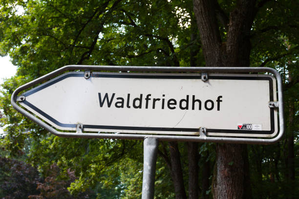 istock Arrow road sign to cemetery in forest 1350018616