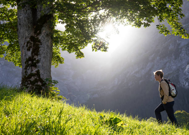 istock Young man hike up grassy meadow, towards tree 1350018957