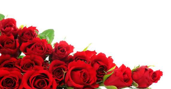 Red roses with filler wedding bouquet on table.