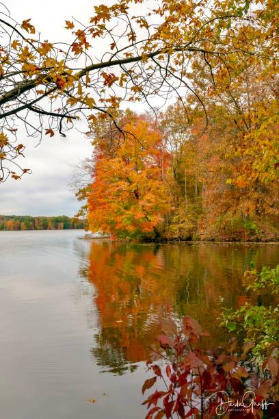 istock Autumn foliage lake reflections 1350020085