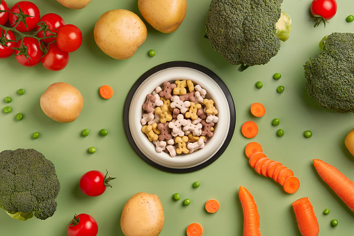 Dry dog vegan vegetarian food concept. Raw vegetables and green near bowl with pet feed on green background.