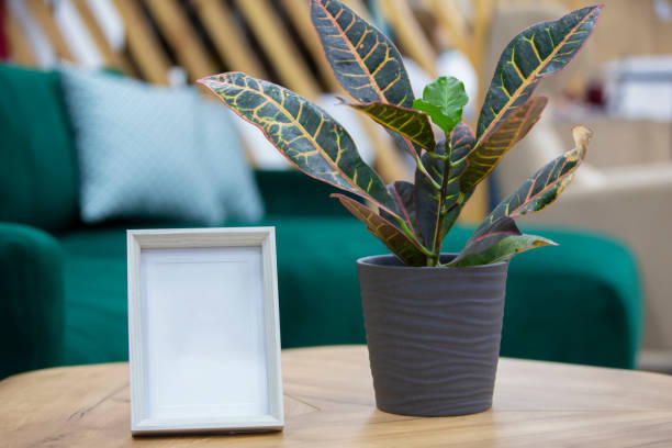 istock Empty photo frame and flower in a flowerpot on the table. 1350024234