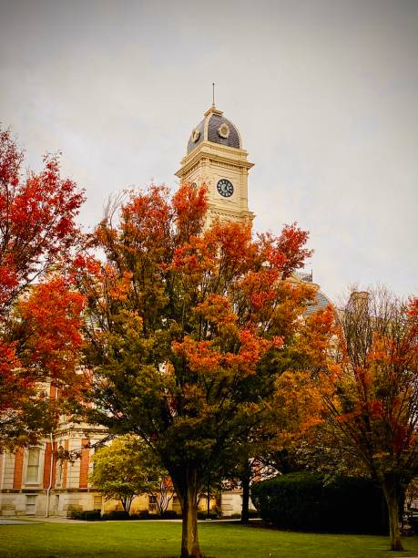 istock Town Hall in Autumn 1350024502