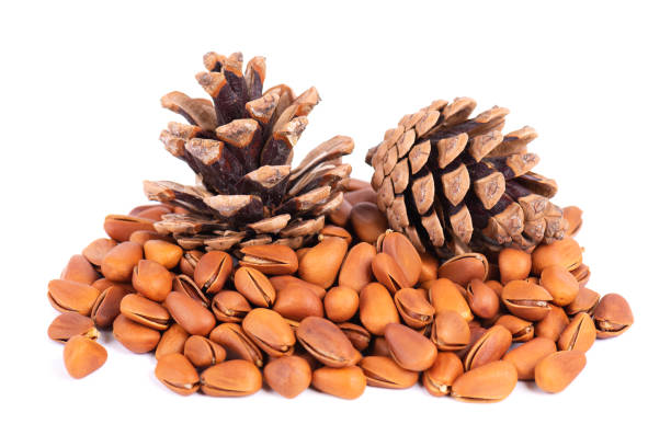 istock Pine nuts isolated on white background. Pine cones and heap of roasted pine nuts in shells. 1350026439