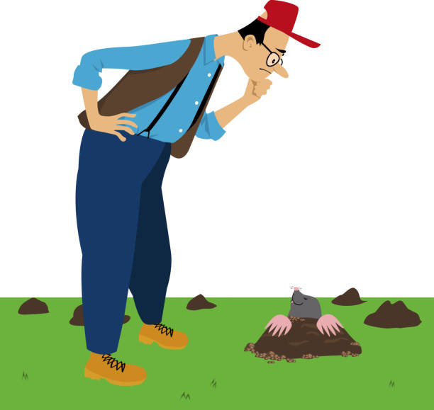 You have a mole problem Homeowner looking at a mole, damaging his lawn, EPS 8 vector illustration mole animal stock illustrations