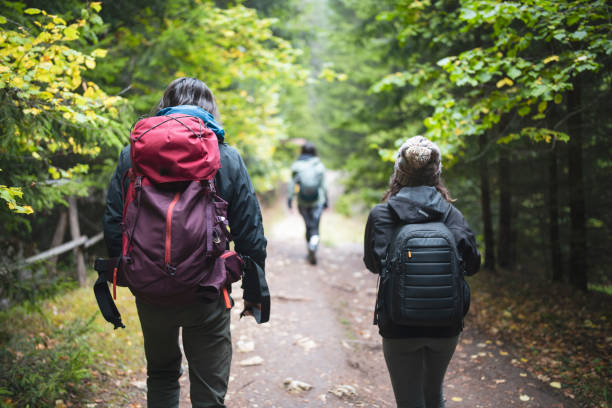 istock Group Of Friends On A Hike 1350032376