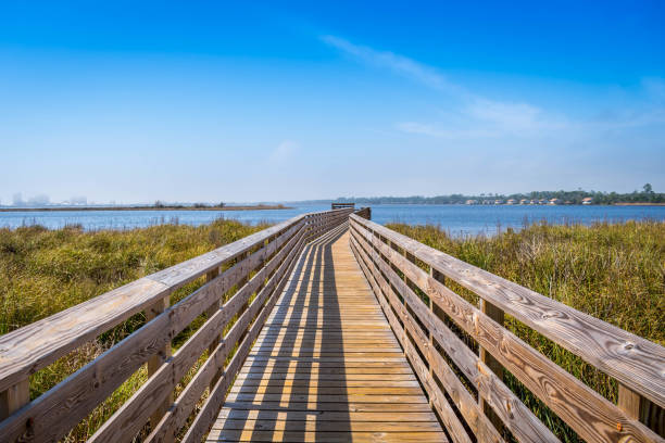 A very long boardwalk surrounded by shrubs in Gulf Shores, Alabama stock photo
