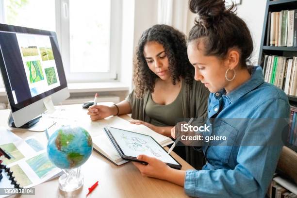 Two Young Woman Working Together On Concepts For Climate Protection Stock Photo - Download Image Now