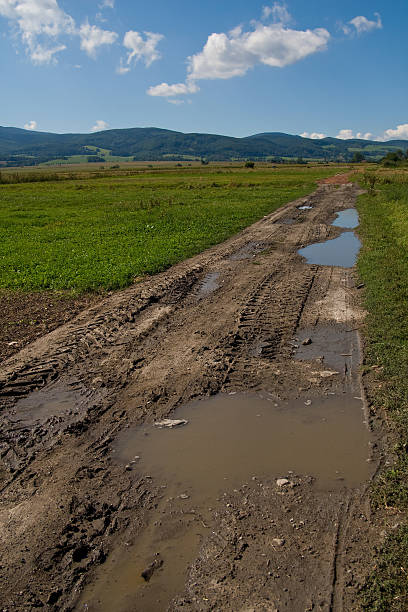 istock Puddles on a rural road 135003988