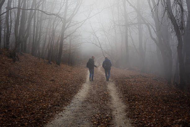 istock Tourists fog forest autumn. 1350042381