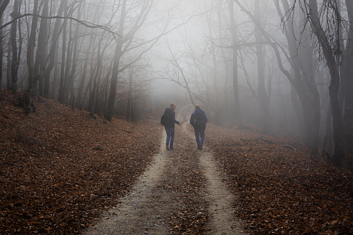 Tourists fog forest autumn. Two friends are walking along the road with backpacks and talking. Late autumn in the mountains, heavy fog, empty forest with leafless leaves. The concept of hiking, travel